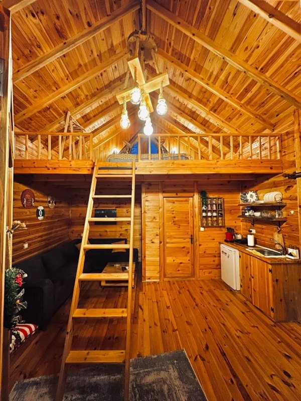 Art Bungalov